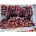 Uvas rojas de Yunnan